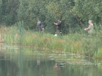 2007_7