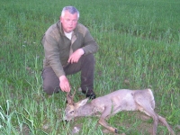 2010_2